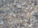Shells