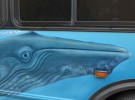 Blue bus whale