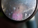 watering can reflection