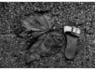 End of life