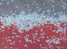 Sidewalk Sprinkles