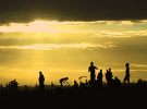 Silhouettes at the beach