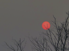 Sunset in Lumbini