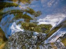 Water reflecting trees and sky