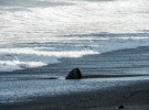 MORNING LIGHT, NICOYA