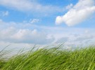 Wind of change