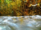 Brazilian Waterfall