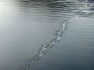 changing path