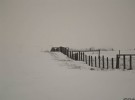Fence in Snow