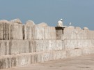 Essaouira, Harbor, 2007