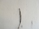 on a wall
