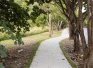 the path