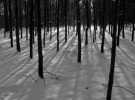 Près de la Pierre à l'Image