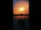 bathroom window sunset