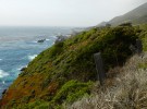 Big Sur #7