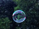 Bubble afloat