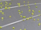 Car Top Debris