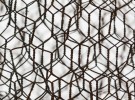 Chicken Wire