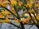 Yellow. NYC, 2012