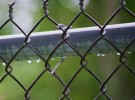 chain-linked fence
