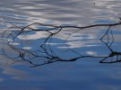 winter water