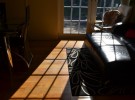 Sun Standing Sentinel