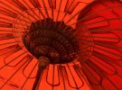 Red Umbrella