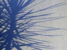 spikey