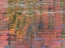 Indian Summer Reflections 1