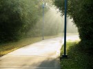 Sunlight 