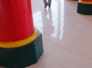 walking