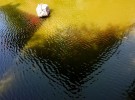 painting of the nature 