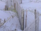 Dune Fence