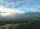 Farewell Spit