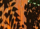 fence shadows