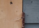 Hinge