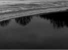 ice, open water, stand of trees, sky