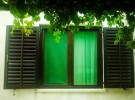 Green morning