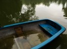 Blue Boat