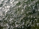 Playful water 