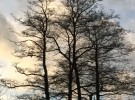 twilight