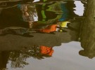 Afternoon reflection 