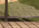 Shadows from the deck 