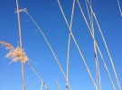 Celestial lines