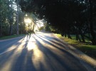 The Road In