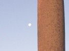 Morning Moon and Palm Tree