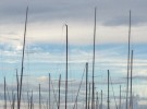 Belmont Harbor at Sunset