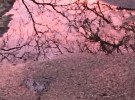 Winter Twilight in Puddle