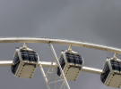 The Brisbane Eye