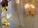 curtain